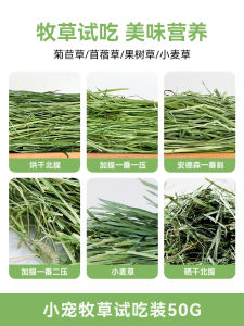 Grass Timothy ลองกินหญ้า Timothy หญ้าเจริญเติบโตด้วยนมข้าวโพดและถั่ว แหล่งอาหารสำหรับสัตว์เลี้ยง อาหารสัตว์เลี้ยง Umi