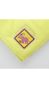 ผ้าพันคอลูกเสือสำหรับนักเรียนในเขตภาคกลาง (ไม่รวมกรุงเทพฯ และปริมณฑล) – ผ้าฝ้ายผสม สีประจำจังหวัด