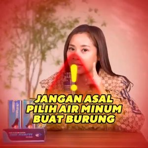 Air Sakti Umi Kasum Original Air Minum Burung Kicau
