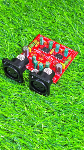 Input Balance Soket Canon Female Stereo Komponen MKM DJE PRO SERIES