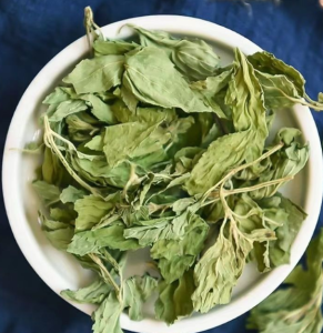 Fresh mint leaves for consumption dried mint tea with refreshing water    薄荷叶