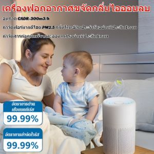 เครื่องฟอกอากาศกำจัดกลิ่นและฟอร์มาลดีไฮด์ด้วยประจุลบ