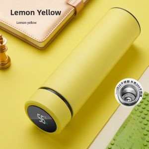 316L Stainless Steel Vacuum Cup Womens Portable Appearance Straight Glass Double-Layer Vacuum Temperature Cup Customization