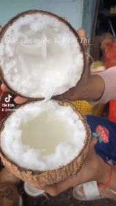 Dừa Sáp Thượng Hạng Loại 1 Size Vừa (Trái 800gr-1Kg)