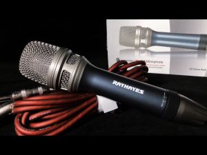 RAYHAYES RD-1 Professional Dynamic Wired Microphone Noise Reduction Metal Grip Wired Microphone for Karaoke Singing