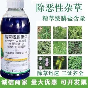 1Liter (1000g) Glufosinate Ammonium Salt 11% 速草霸精草铵膦铵盐安磷除草剂牛筋草烂根剂正品 Weed killer  It can kill枯草剂