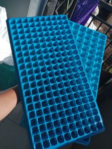 Tray Semai Biru Premium Super Spesial Terbatas !!