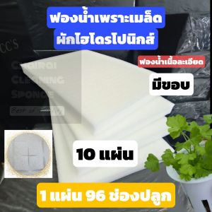 ฟองน้ำปลูกผักไฮโดรโปนิกส์ ( ชุด 10 แผ่น ) เนื้อละเอียด 1แผ่น 96 ช่อง ( รุ่นมีขอบ )
