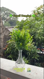 Daun Yugali Tangkai YJL Plastik Besar dan Kecil Tanaman Hias Artificial Bunga Buket Minimalis Home