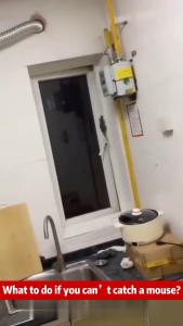 200x stronger than a cat rat poison killer Rats die outdoors and dont need to be cleaned up rat poison killer racun tikus paling kuat ubat tikus paling kuat mati rat bait mouse killer Harmless to people and pets rat trap catcher 老鼠药