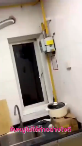 🐀อาหารที่หนูชอบที่สุด ยาเบื่อหนู 50/100/500g ยากําจัดหนู เมาส์ที่ตายแล้วไม่มีกลิ่นน่ารังเกียจ ทำลายอวัยวะภายในตายใน 1ชม แห้งเร็วและไม่มีกลิ่น กินง่ายตายไว ชนิดไม่ต้องผสมอาหาร เห็นผลชัวร์ 100% เหยื่อกำจัดหนู ยาเบื่อหนู ขนมเหยื่อหนู โบรมาดิโอการ์ด ลดกลิ่น