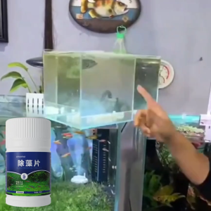 ✨Water crystal clear✨150 Tablets algaecide algae remover High Efficiency for aquarium Fish Tank Pond