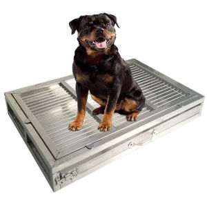 Stainless Steel Pet Dog Latrine Potty Urinal Bucket Teddy/Golden Retriever Large Medium and Small Size Dog Latrine Thickened Anti-Bite Customization