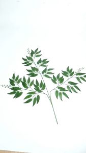DAUN WILLOW LUSINAN CABANG 3 LEAF ARTIFICIAL DECOR RUMAH DEKORASI PERNIKAHAN DAUN RUSCUS ZAITUN BUATAN TANGAN TANAMAN BUNGA HIJAU PLASTIK LUAR RUANGAN OUTDOOR BERKUALITAS IMPORT MURAH