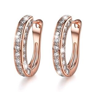 1pair earrings hypoallergenic non tarnish Rhinestone earrings diamond earrings hoop earrings women silver 925 gold earings for women earrings Women Stud Earrings piercing earrings Women Stud Earrings Zircon Earrings Party Wedding Jewelry Anniversary Gift