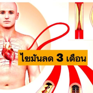 เครื่องสกัดน้ำผลไม้แยกกาก ชนิดสกัดเย็น ตัวเลือกอันดับ 1