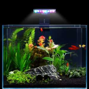 Seven Master Special Lighting For Fish Tanks 5W 7W Mini High-Brightness Three Switching Modes Energy-Saving Lighting