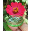 bio mini bio glass. 