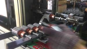 Mincing Machine Motor - Household Appliances Pure Copper Motor Series Excited Machine Multi-Function Food Supplement Meat Grinder Small Motor Manufacturer