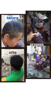 SAMPO PENGHITAM RAMBUT