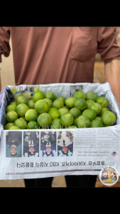 มะนาวแป้นรำไพ เปลือกบาง น้ำเยอะ ผิวลาย ยกลัง 4 กิโลกรัม คละไซส์