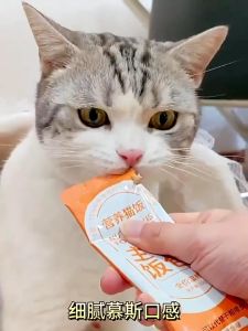 Pet Cat Treats 90% Nutrition Meat Cat Wet Food Cat Treats For Kitten Cat Food For Kitten Cat Snacks