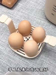 【New Launch】Egg Cooker Multifunctional 4/8 Egg Boiler Steamer Boiling Machine Household Automatic Power Off Egg Steamer 煮蛋器Telur Maker Half Boiled Egg Maker
