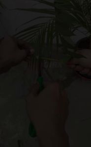 Gergaji Bonsai Gergaji Dahan Ranting Runcing Lancip Mini Prune Saw