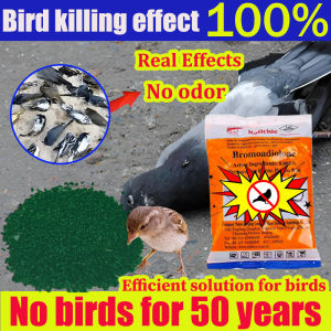 No birds for 50 years Bird repellent outdoor Made from wheat racun burung merpati Highly contagious and capable of stimulating the nervous system of birds pigeon poison