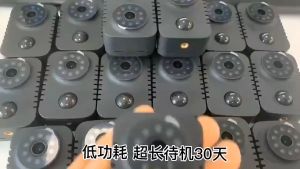 MD29 Mini Day & Night PIR Human Motion Detection Video Camera