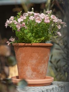 Red Clay Potted Planters Breathable Terracotta Pots for Home Use Succulent Plant Containers Ceramic Roof Tile Flower Pots