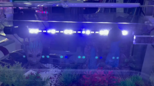 ไฟตู้ปลา LED RGB (ปรับสีได้3 สเต็ป) T4 T200-T1200 สวยงามยิ่งขึ้น ใช้ได้ทั้งในน้ำและบนบก