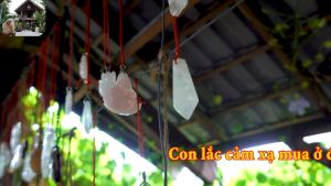 Trải nghiệm bói toán chính xác với con lắc cảm xạ đá tự nhiên (màu cam) - LCX09