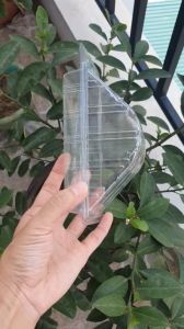 SET 100 Cái Hộp nhựa H06 - Trong suốt - Đưng sanwich bánh bông lan