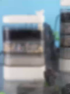 Stainless Steel Clothes Pegs Rustproof Laundry Clips Pants & Sock Space Saving Storage Solution