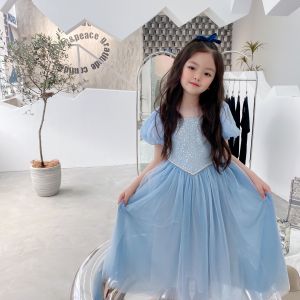 Sequined Mesh Princess Dress