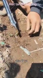 Corn Seeder 1 Mata: Alat Tanam Jagung Gejik & Benih Tancap Tugal Simple Planter