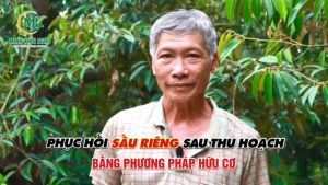 Phân bón nâng pH đất (PH-EC RAISE) | Đất tốt cây khỏe