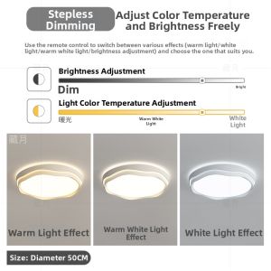 Creative Full Spectrum Ceiling Light