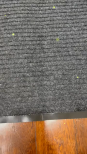 RakanKu Malaysia 80x120cm Multiple Sizes Non-Slip Entrance Carpet Reception Shoe Commercial Floor Mat Entrance Front Dirt Trapper Runner for Shop Restaurant Office Shopping Mall 商业地垫