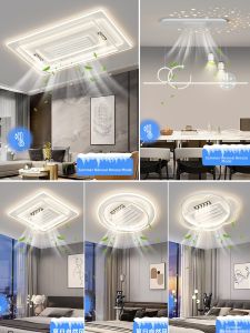 HAOZHAO | Ceiling Light With Fan Function