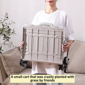 Portable Trolley Shopping Cart Large Space Trolley Easy To Carry Lockable Directio With 4/8 Wheels