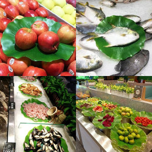 LOCAL HOME ใบบัวปลอม ใบบัวพลาสติก สำหรับการรองอาหารคาว หวาน หรือตกแต่งอ่างปลา Home Decor