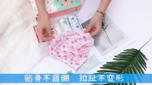 【C037】Girls Panties Kids 100% cotton Underwear for Girls Fashion 5-pieces per box Korean Style Underwear seluar dalam budak perempuan