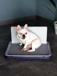 CHONG CHONG Dog training potty pad with wall anti-splashing pet toilet