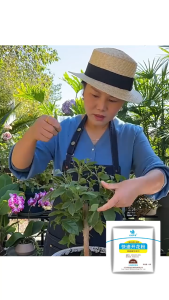 10G*10PCS / 200G*1PCS Pupuk Zpt Pertumbuhan Kualitas Tinggi Pupuk Hormoni Universal