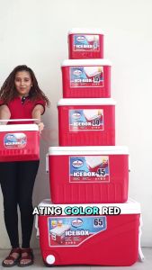 Orocan Ice Box 15L Insulated Icebox Ice Chest - Gold Mind Everyday Low WOW Price😮💕💛