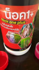 จบปัญหาเชื้อราพืช ด้วยน็อควันพลัส ป้องกันและรักษาทุกระยะ รากเน่าโคนเน่า ใบหงิก ใบเหลืองใบไหม้