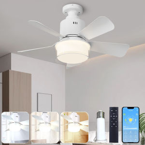 Ceiling Fan With Lamp: Modern and Simple Silent Ceiling Fan 4 Speed APP Remote Control Fan Lights for Bedroom Kitchen Living Room
