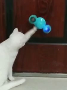 Cat Toy Kitten Toy Cat Windmill Toy Funny Massage Rotatable Cat Toys with Catnip & LED ball Teeth Cleaning Toy